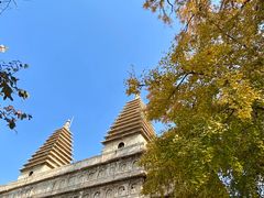 -北京石刻艺术博物馆(五塔寺)