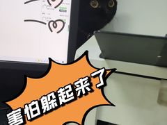 -萌兽医馆·绝育·24小时内科·宠物医院(德胜店)