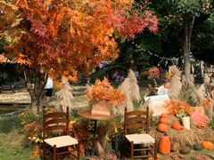 -HERRE·FARM 赫尔露营农场·团建聚会包场