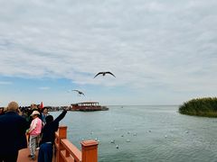 -乌梁素海景区