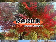 -堤角公园