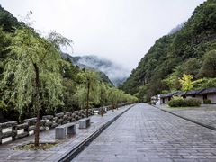 -牛背梁国家森林公园