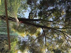 悦华酒店-厦门悦华酒店