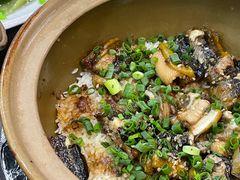 -红星光发煲仔饭(文海店)