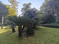 -攀枝花公园