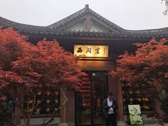 -西湖游船
