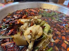 -耗儿鱼蛙蛙叫·老成都火锅(蛇口海昌街店)