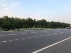 -合肥滨湖国家森林公园