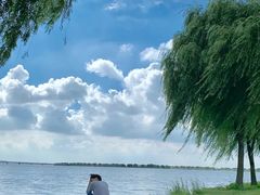 -漕湖湿地公园
