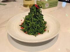 红果枸杞苗-清真·宁夏印象·盐池滩羊肉体验店(江宁路店)
