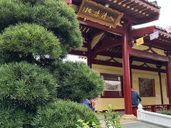 -庐山风景名胜区-东林大佛