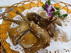 特色盐焗乳鸽-顺德美食坊(南沙分店)