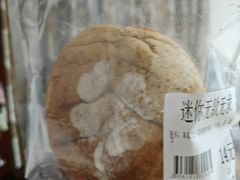 -七叔是岛民(大学城gogo新天地店)