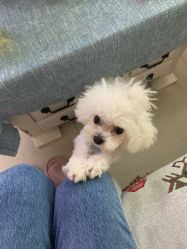 -肌理言健康美肌驻颜所
