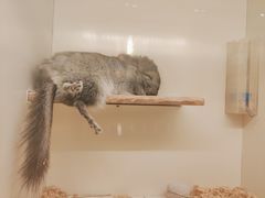 -龙猫仔乐园(惠福东路店)