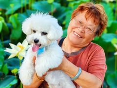 -翊宠yipet猫狗购宠庄园犬舍•猫舍