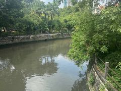 -晓港公园