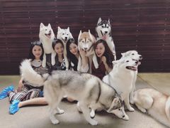 -TrueLove @ Neverland (Husky Cafe)