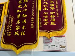 -中农国际动物医院24小时·猫科·骨科·急重症中心