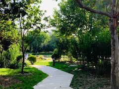 -北京国家会计学院