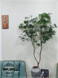 -北京炫美医疗美容