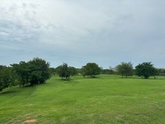 -盘龙城国家考古遗址公园