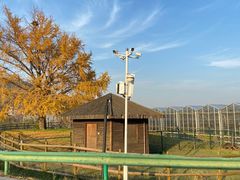 -苏州太湖西山岛开心农场