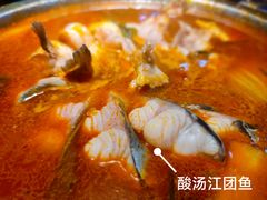 -老凯俚酸汤鱼(鸿通城店)