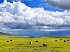 -青海湖国家重点风景名胜区