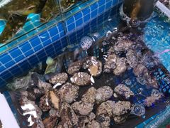 -小老板海鲜酒家(董家渡店)