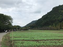 -贵阳市花溪国家城市湿地公园