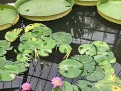 -华南国家植物园-售票处