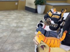 -美联众合动物医院·24h转诊中心