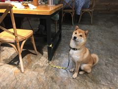-听风阁农家私房菜茶楼(龙坞店)