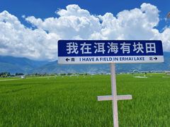 -大理洱海