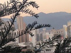 -阿浪山庄