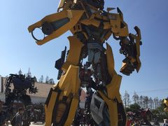 -上海长兴岛郊野公园