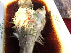 -云中小雅