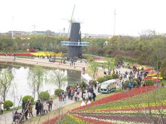 -上海鲜花港