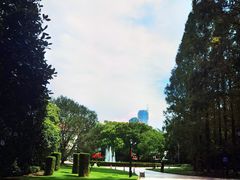 -棕榈岛海鲜自助餐厅(虹桥迎宾馆店)