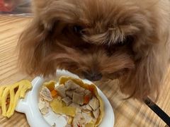 -帕帕拉兹宠物(亚洲旗舰店)