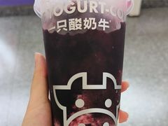 -一只酸奶牛(洪崖洞11楼店)