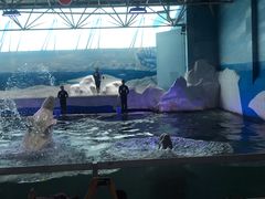 -秦皇岛乐岛海洋王国