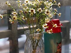 -红小满休闲餐厅(十全街店)