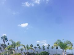 -半岛海鲜酒家