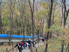-帽儿山风景区