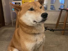 -三目仓咖啡(贤南路店)
