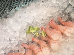-月龍吟(朝龙汇店)