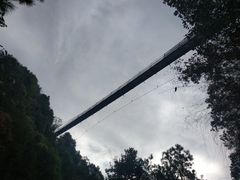 -遂昌金矿国家矿山公园