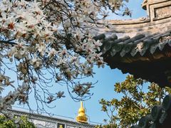 -龙华寺